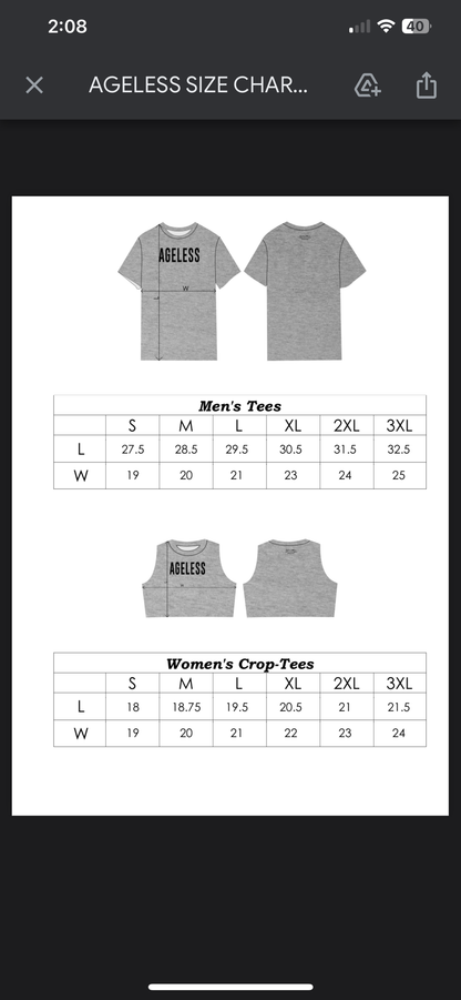 Ageless Heather Gray Men’s T-shirt